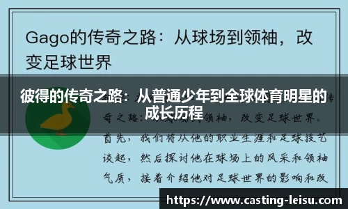 雷速体育